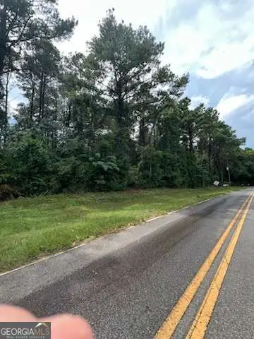 0 N Spring Creek Circle, Cobb, GA 31735 - Image #2