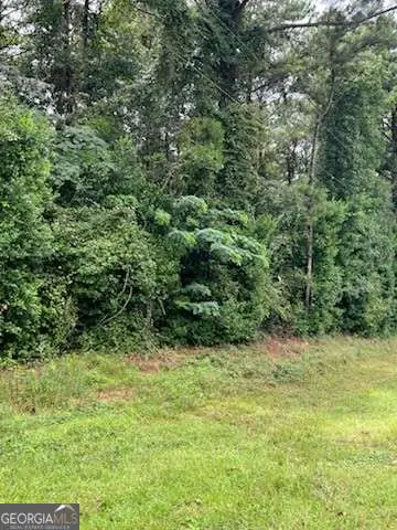 0 N Spring Creek Circle, Cobb, GA 31735 - Image #3