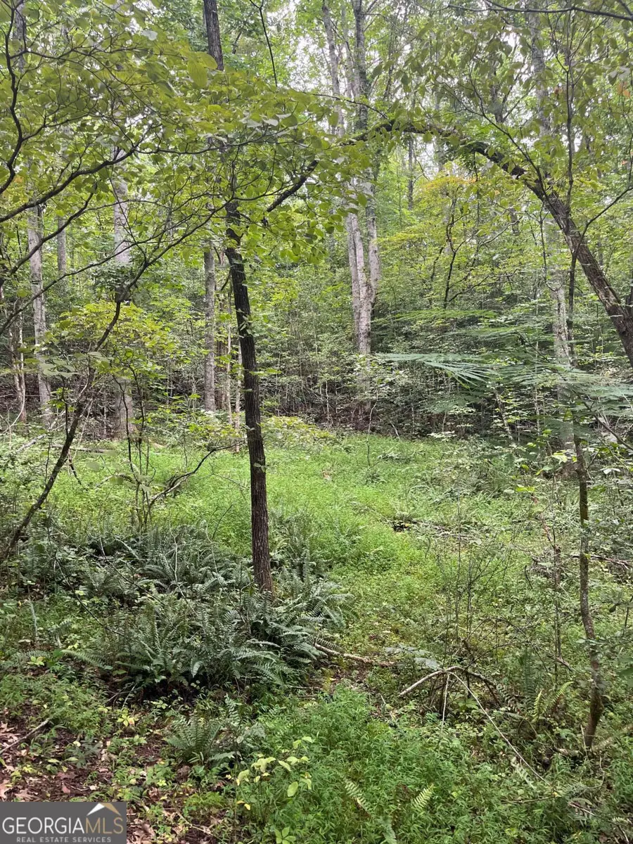 LOT 12 Kilpatrick Point Terrace, Hayesville, NC 28904 - Image #2