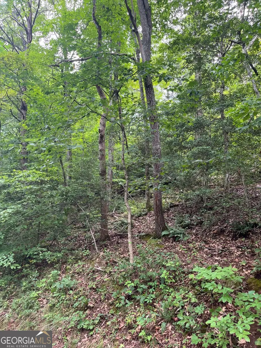 LOT 12 Kilpatrick Point Terrace, Hayesville, NC 28904 - Image #3