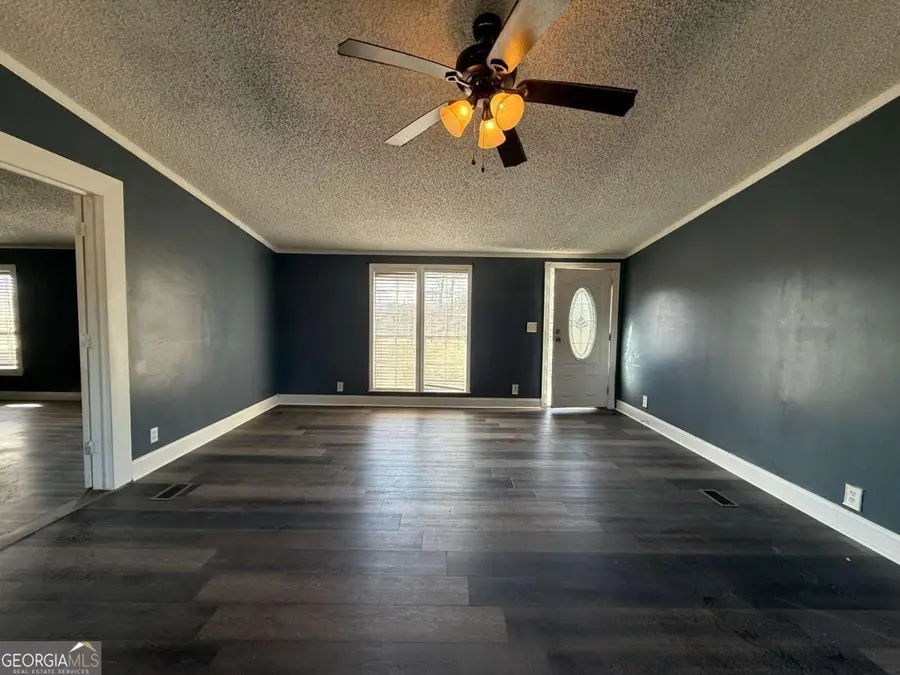 3750 Little Hurricane Creek Road, Blackshear, GA 31516 - Image #2