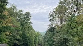 257 Andes Ridge, Ellijay, GA 30536