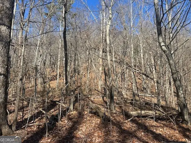 257 Andes Ridge, Ellijay, GA 30536 - Image #3