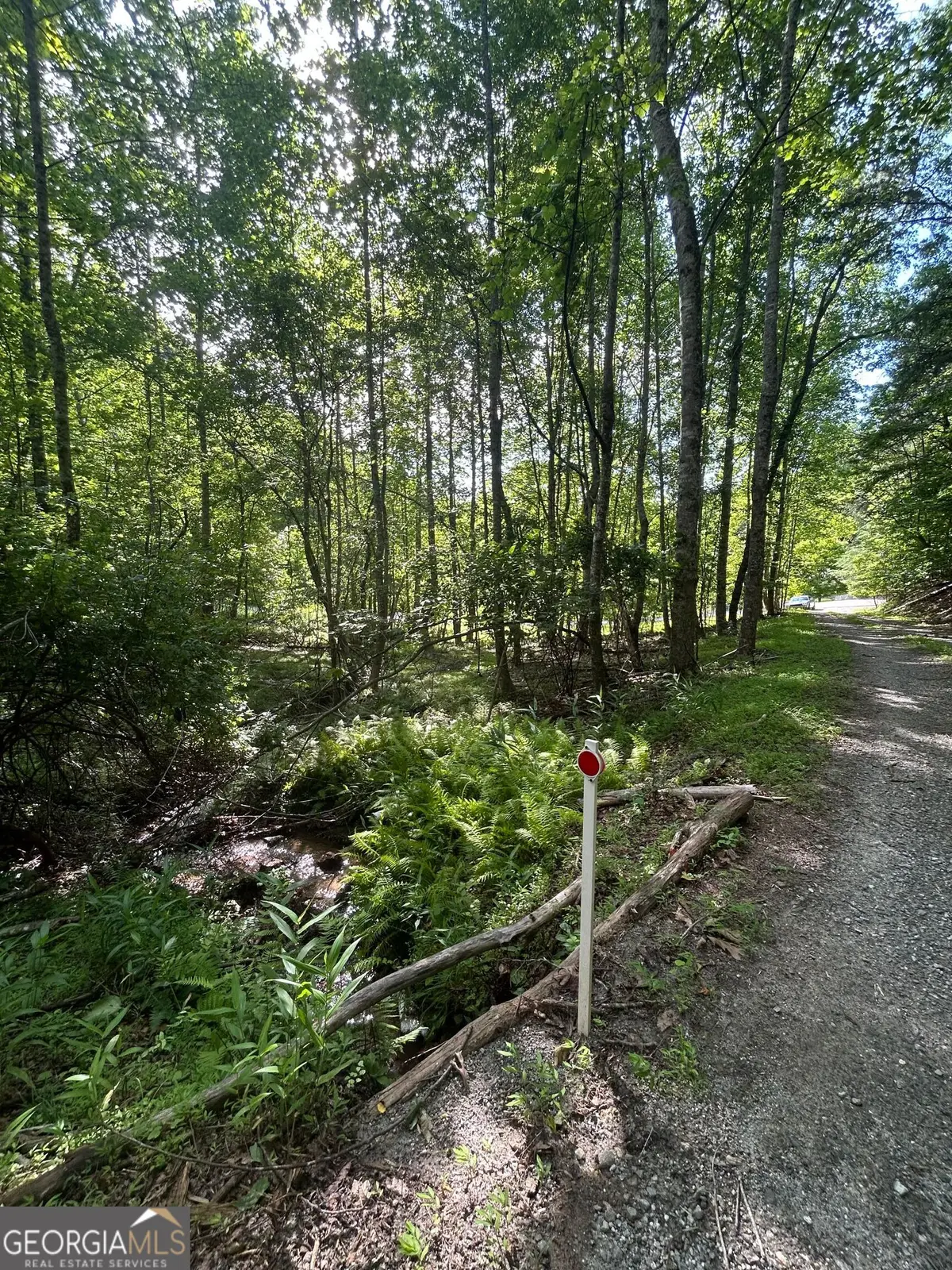 0 E Two Pond Lane, Hayesville, NC 28904 - Image #1