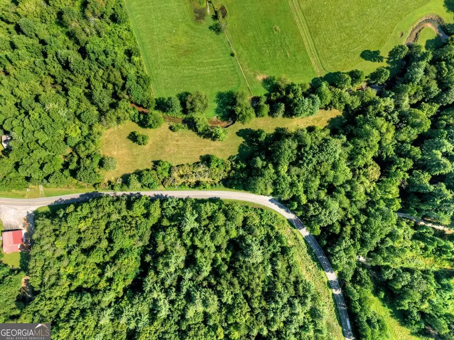 0 Hwy 2, Blue Ridge, GA 30513 - Image #2