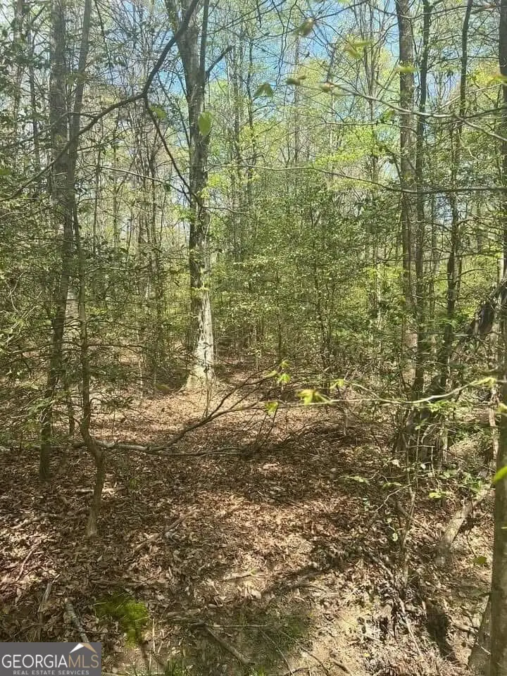 0 Holly Court, Ellijay, GA 30536 - Image #2