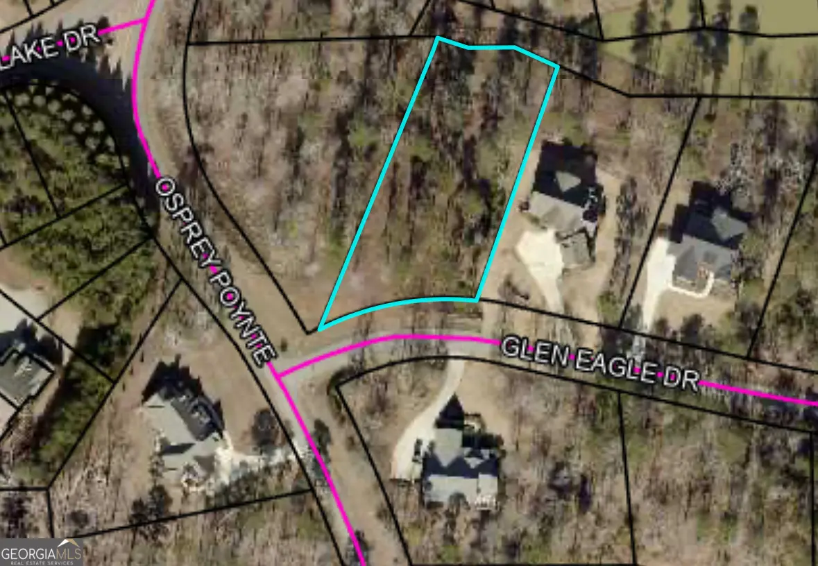 1000 Glen Eagle Drive, Greensboro, GA 30642 - Image #1