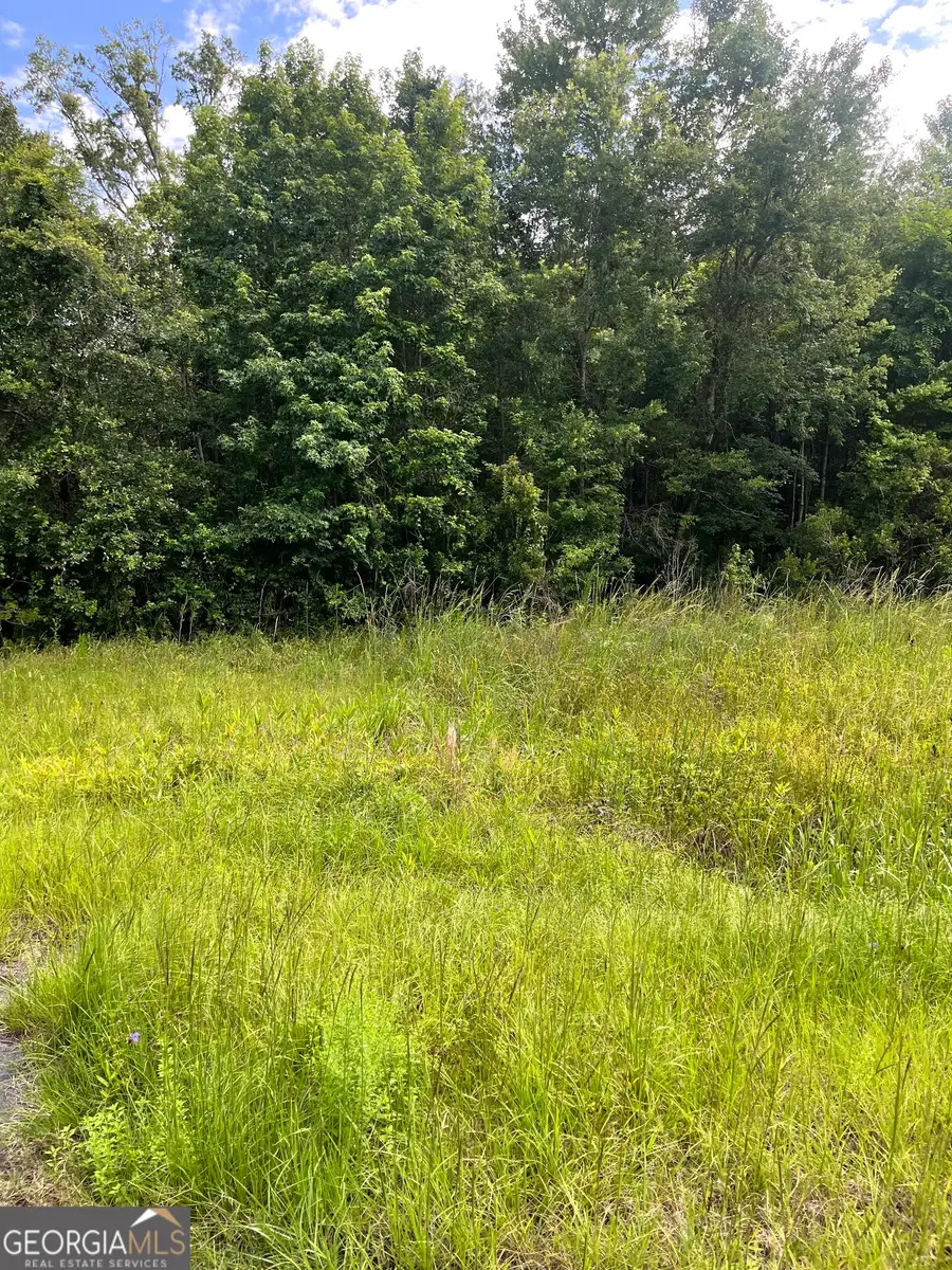 0 Oglethorpe East Highway, Midway, GA 31320 - Image #2