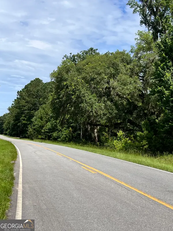 0 Sandy Run Road, Riceboro, GA 31323