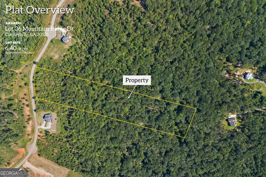 LOT 36 Mountain Ridge Drive, Clarkesville, GA 30523 - Image #2