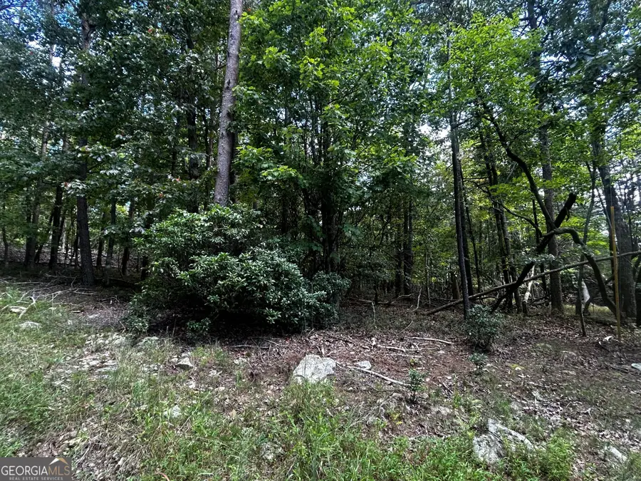 0 Elk Court, Jasper, GA 30143 - #2