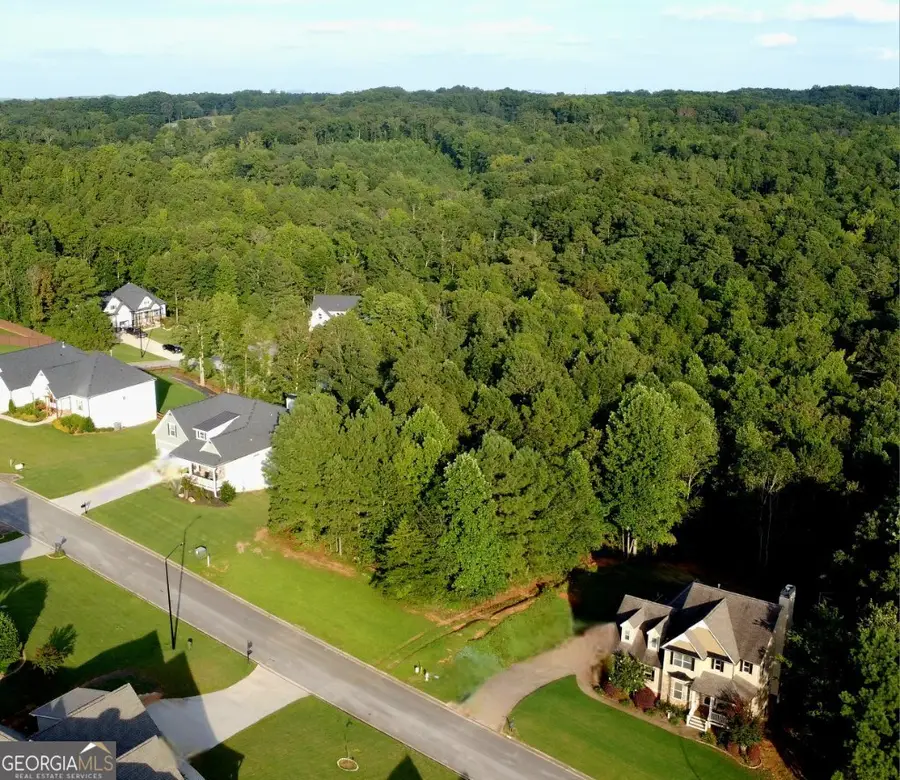 181 Observation Point, Dallas, GA 30132 - Image #3