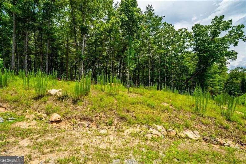 0 Ridge Drive #LOT 64, Morganton, GA 30560 - Image #2