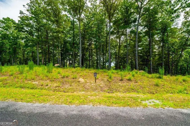 0 Ridge Drive #LOT 65, Morganton, GA 30560 - Image #2