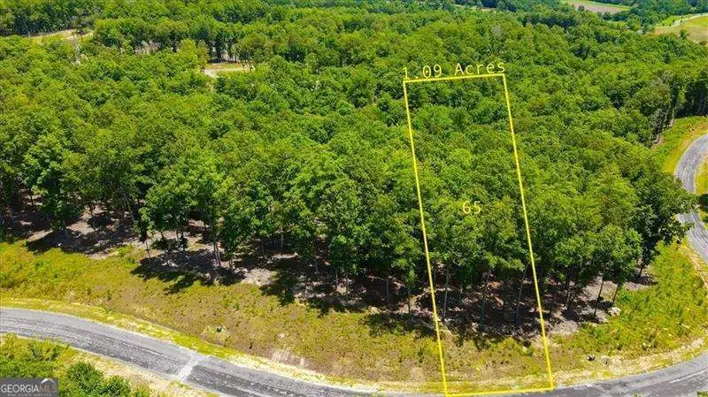 0 Ridge Drive #LOT 65, Morganton, GA 30560 - Image #3