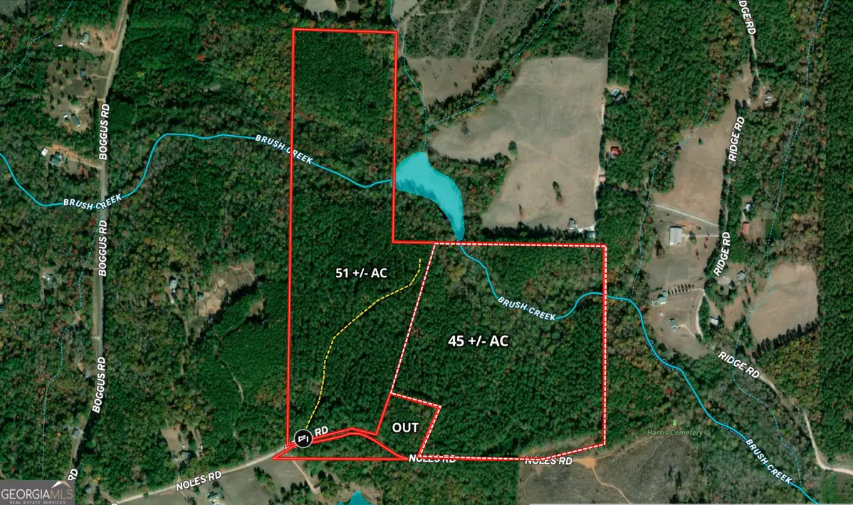 45+/- AC Noles Road, Franklin, GA 30217 - Image #1