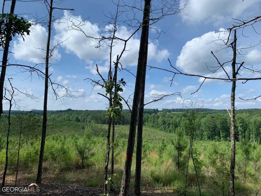 51+/- AC Noles Road, Franklin, GA 30217 - Image #2