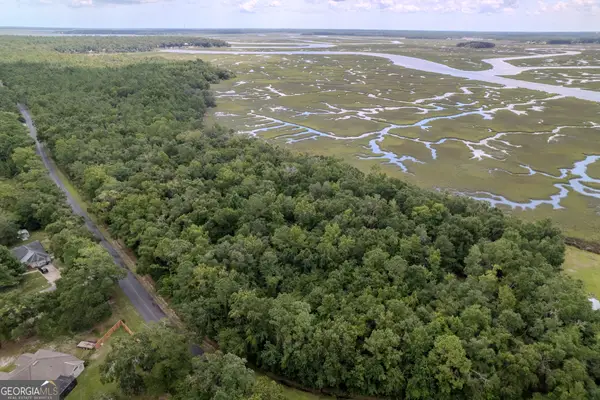 0 Sheffield Island Road #4, Woodbine, GA 31569