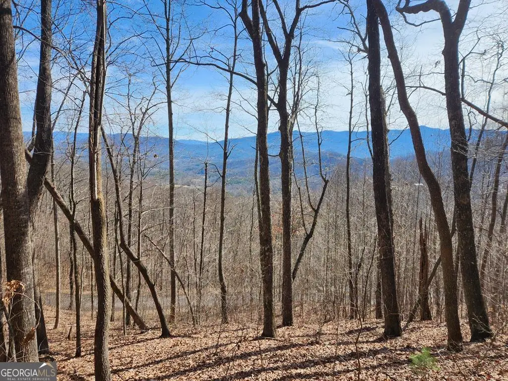 #28 The Overlook At Young Harris, Young Harris, GA 30582 - Image #1