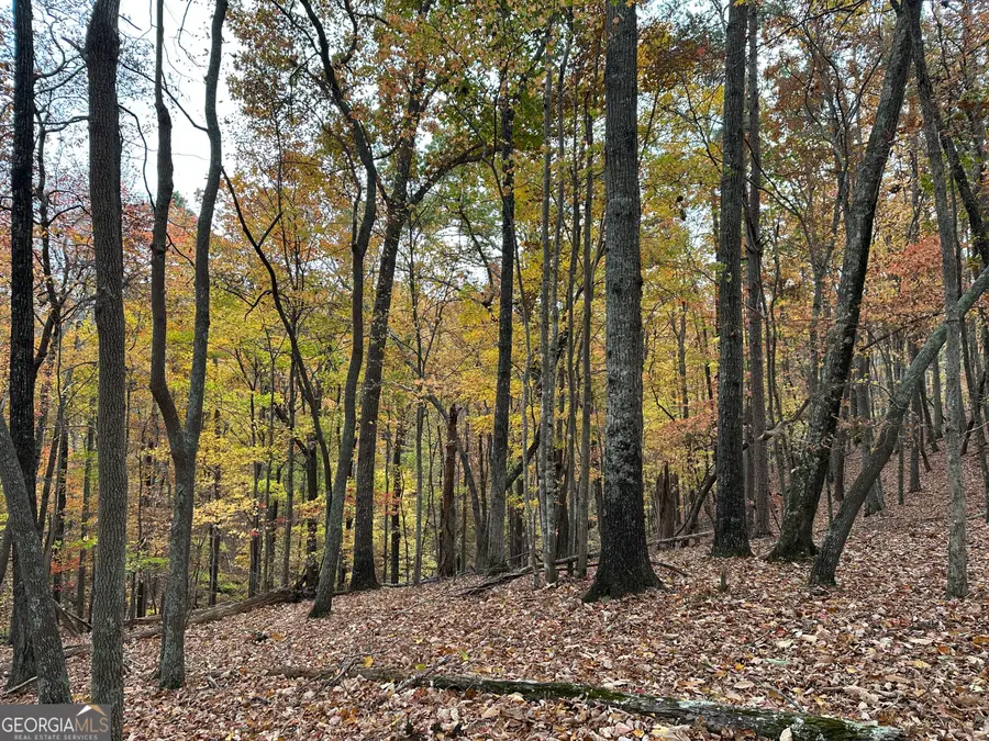 0 Super Deluxe Road, Rockmart, GA 30153 - Image #3