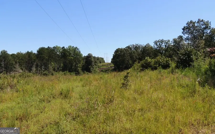 57+/- AC Victory Road, Franklin, GA 30217 - Image #2