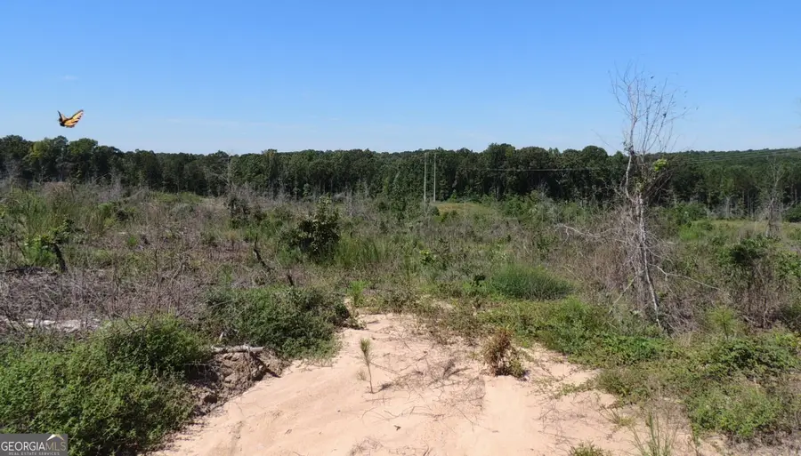 57+/- AC Victory Road, Franklin, GA 30217 - Image #3