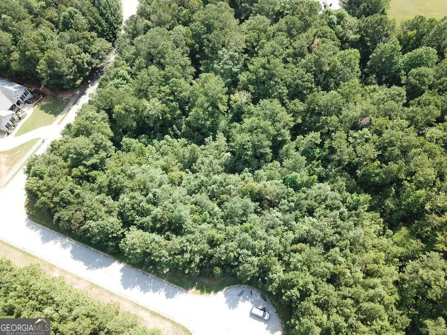 8747 Camron Drive, Winston, GA 30187 - Image #2