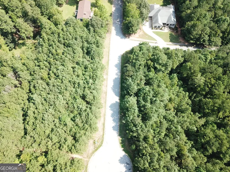 8747 Camron Drive, Winston, GA 30187 - Image #3