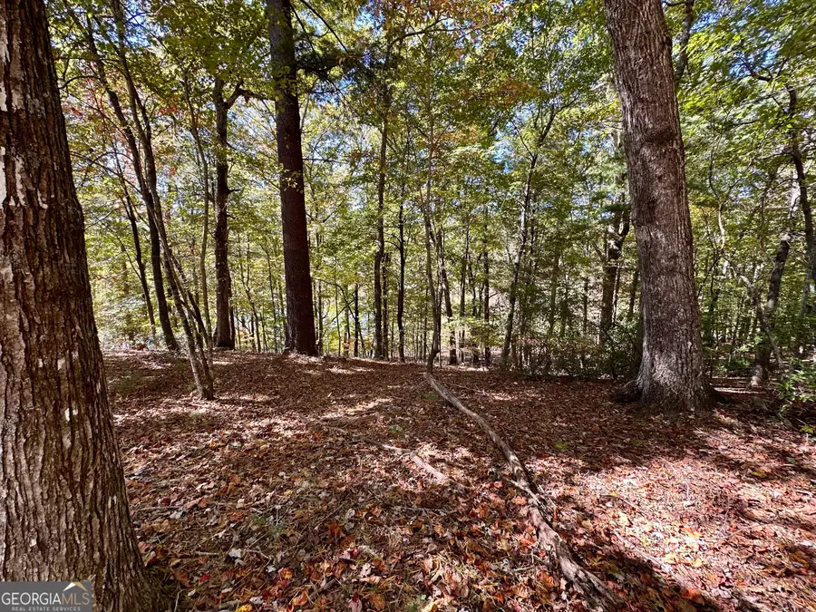 0 Forked Leaf Road #29, Cleveland, GA 30528 - Image #3