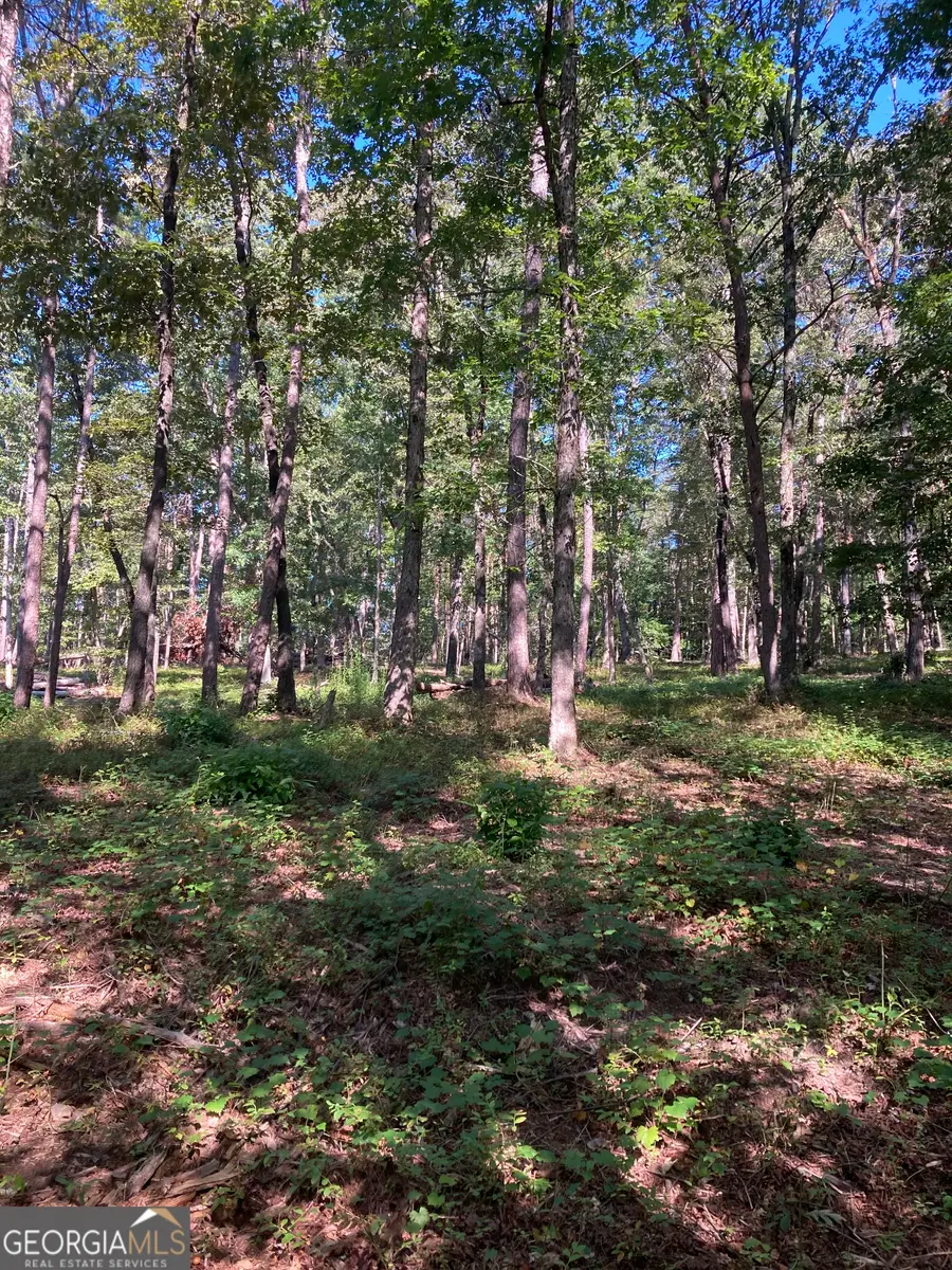 0  TRACT 1 Annandale Drive, Clarkesville, GA 30523 - Image #3