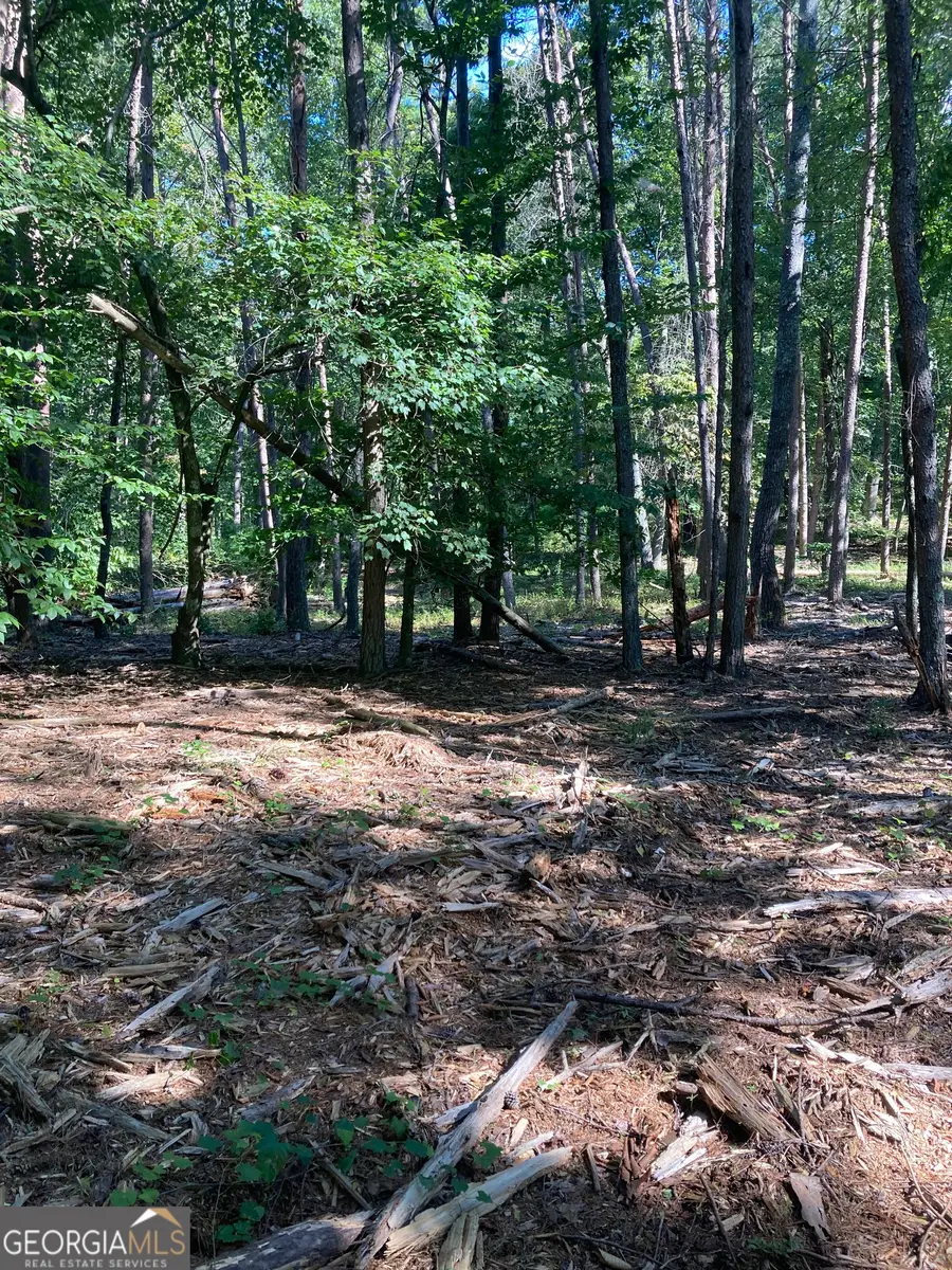 0  TRACT 2 Annandale Drive Road, Clarkesville, GA 30523 - Image #2