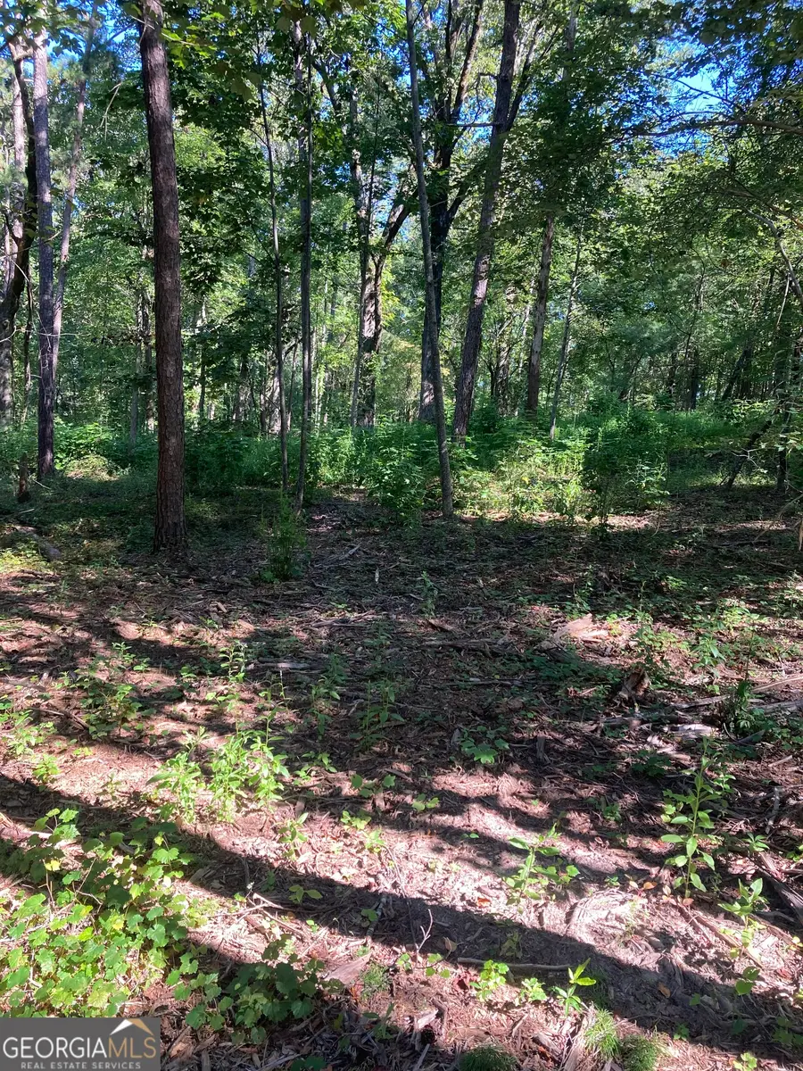 0  TRACT 2 Annandale Drive Road, Clarkesville, GA 30523 - Image #3