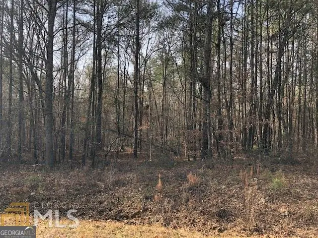 0 White Laurel Lane #16, Covington, GA 30016 - Image #1