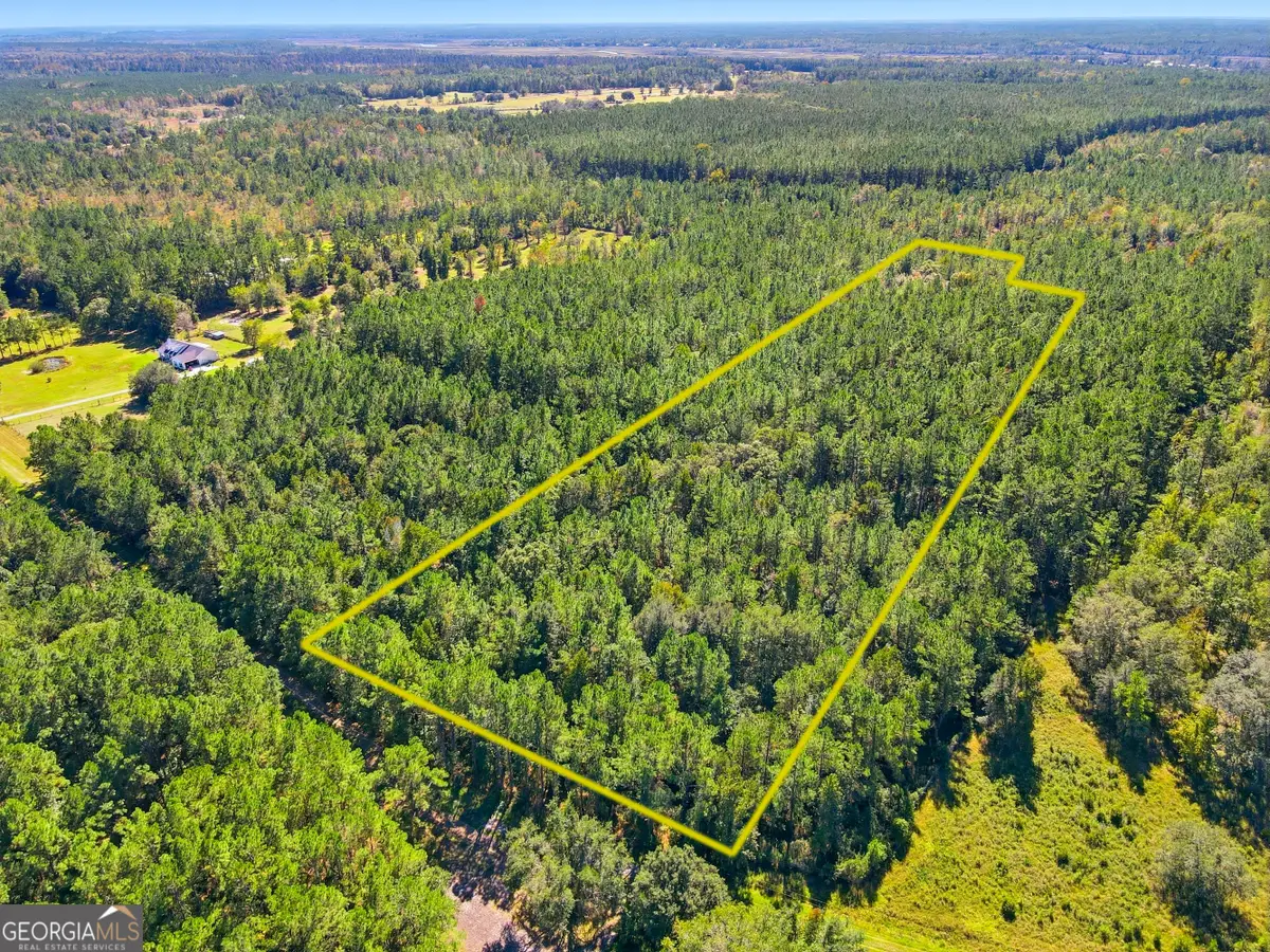 0 Waverly Farms Road, Waverly, GA 31565 - Image #1