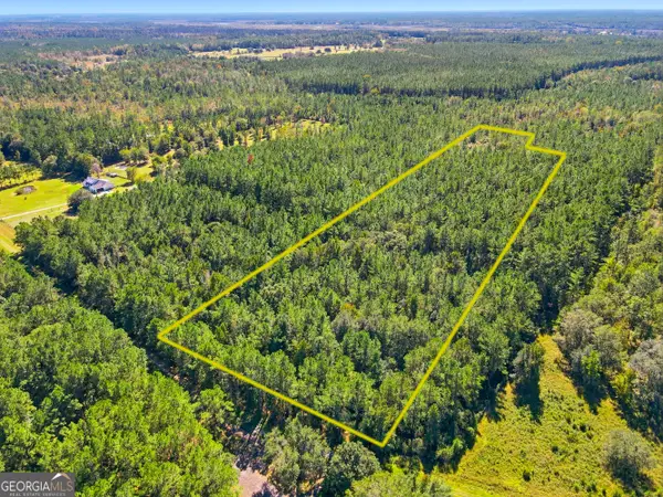 0 Waverly Farms Road, Waverly, GA 31565