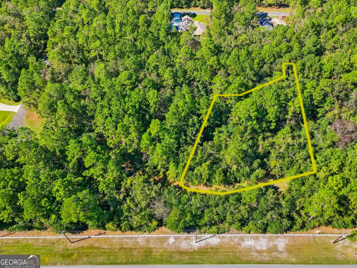 111 Canoe Run, Woodbine, GA 31569 - Image #1