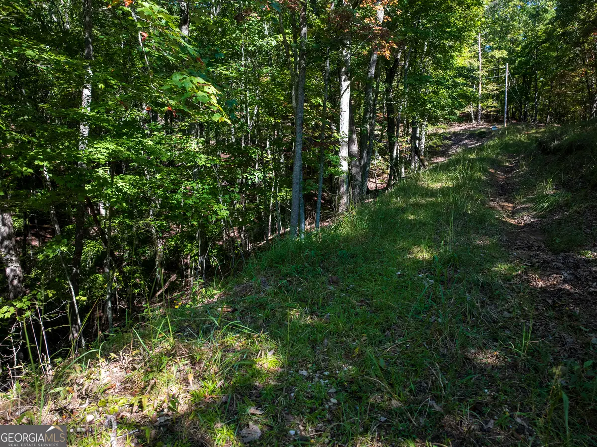 LOT 3- 2.3 ACRE Arrowhead Drive, Mineral Bluff, GA 30559 - Image #1
