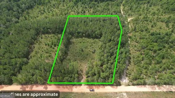 0 Asa Lindsey Road, Kite, GA 31049