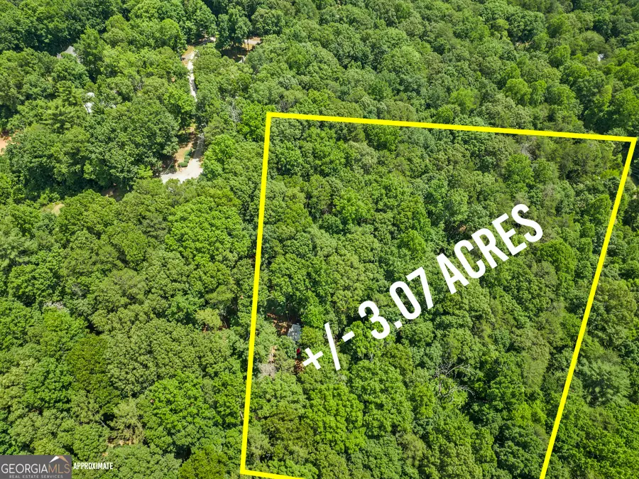 3.07 ACRES Anns Alley, Clarkesville, GA 30523 - Image #2