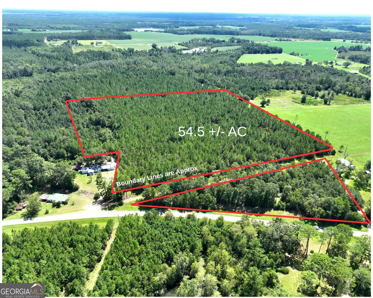 0 Crump Road, Bristol, GA 31518 - Image #1