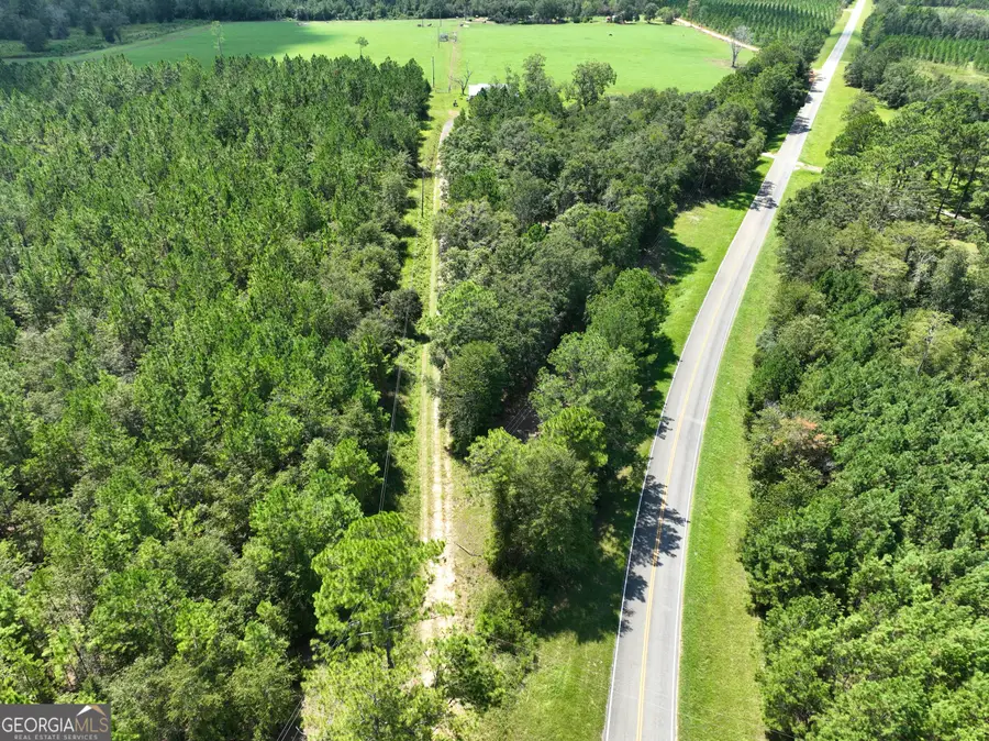 0 Crump Road, Bristol, GA 31518 - Image #3