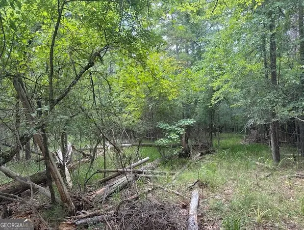 0 Pine Knoll Lane, Eatonton, GA 31024 - Image #3