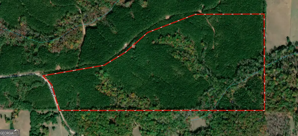 99.58 +/- AC Peace Lane, Franklin, GA 30217 - Image #1