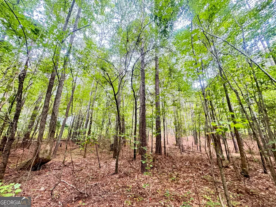 99.58 +/- AC Peace Lane, Franklin, GA 30217 - Image #3