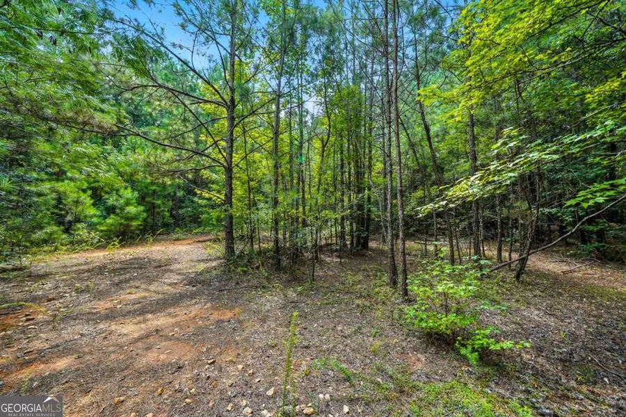 0 Sleepy Hollow Drive, Powder Springs, GA 30127 - Image #2