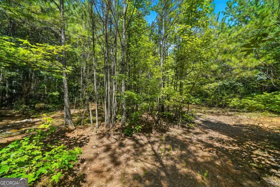 0 Sleepy Hollow Drive, Powder Springs, GA 30127 - Image #3