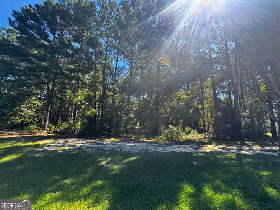LOT 125 Orange Court, Sylvania, GA 30467 - Image #3