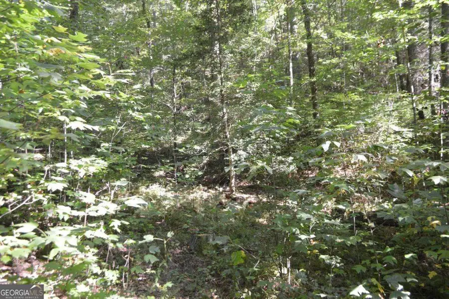 LOT 5 Hemlock Ridge, Clayton, GA 30525 - Image #3