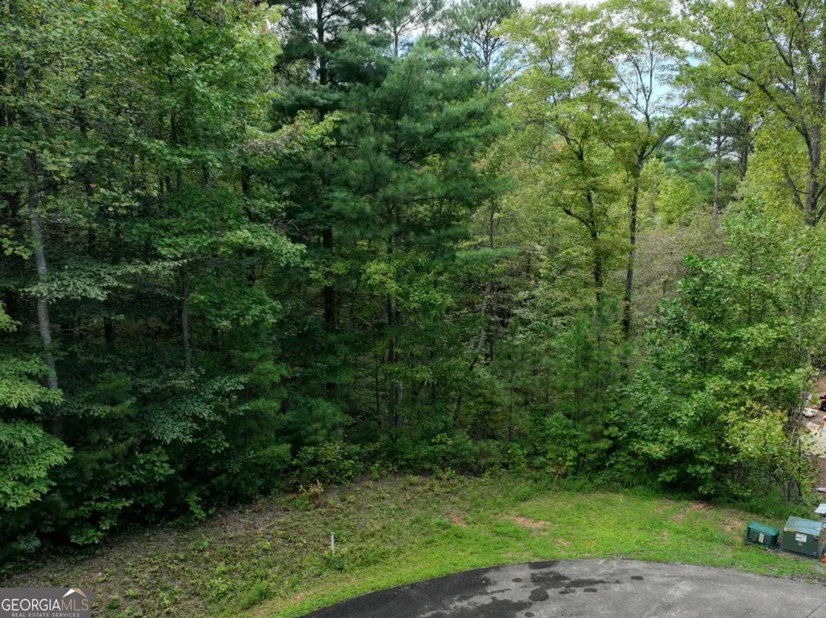 140 Autumn Fern Lane, Ellijay, GA 30536 - #1