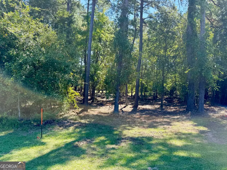 0 Friendship Road, Sylvania, GA 30467 - Image #3